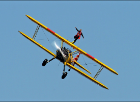 Wing Walk - Anytime!